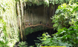 i #cenotes del #Messico