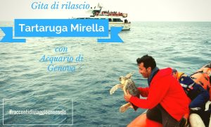 15/7/2017 Gita di rilascio della Tartaruga Mirella curata dall’Acquario di Genova