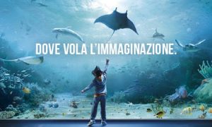 #Genova : #AcquariodiGenova e la nuova vasca dei delfini