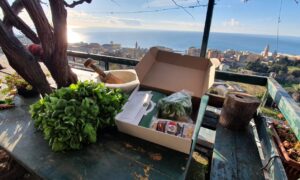 Pesto Kit : il regalo che profuma di Liguria